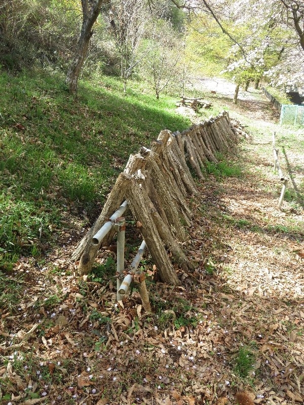 f:id:itablog:20190409094437j:plain