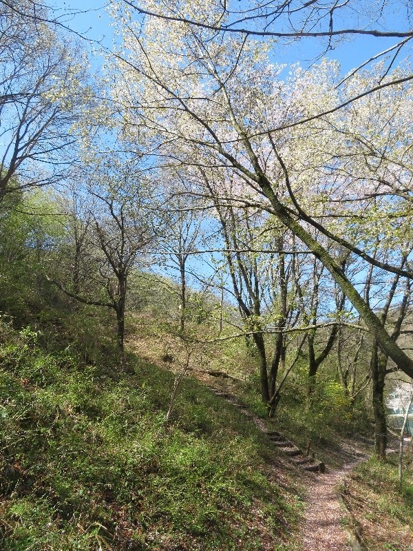 f:id:itablog:20190409094738j:plain