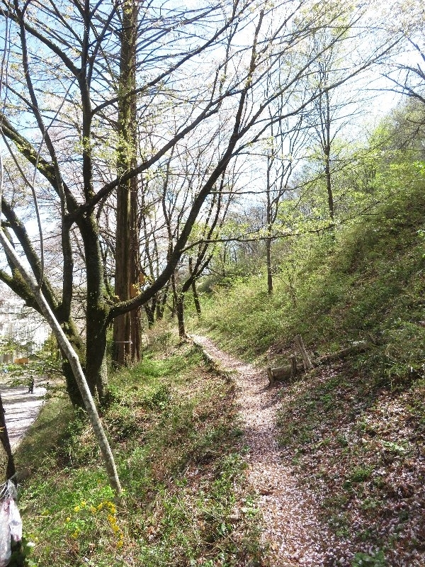 f:id:itablog:20190409095733j:plain