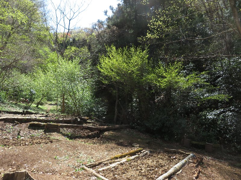 f:id:itablog:20190409115219j:plain