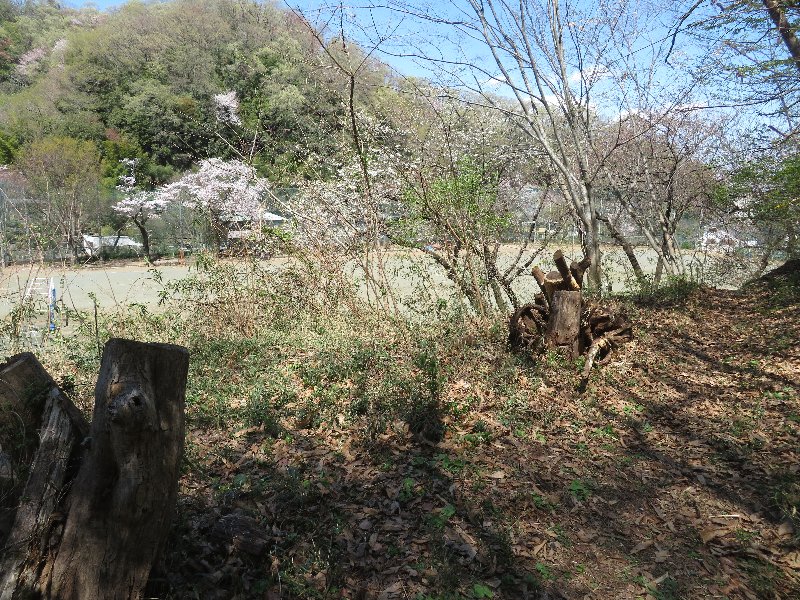 f:id:itablog:20190409120713j:plain