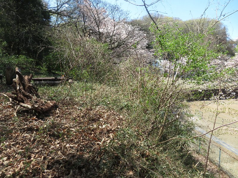 f:id:itablog:20190409120737j:plain