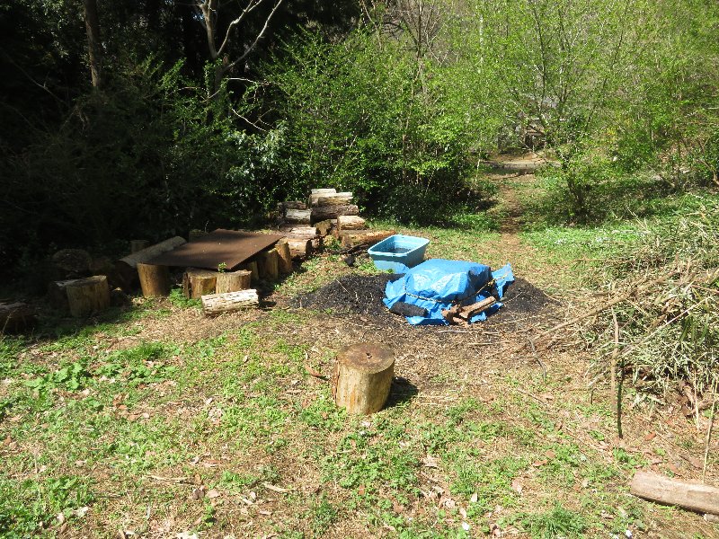 f:id:itablog:20190409123259j:plain