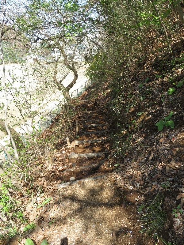 f:id:itablog:20190409125457j:plain