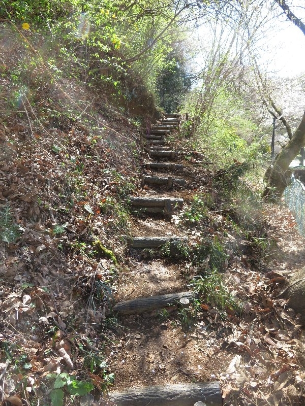 f:id:itablog:20190409132348j:plain