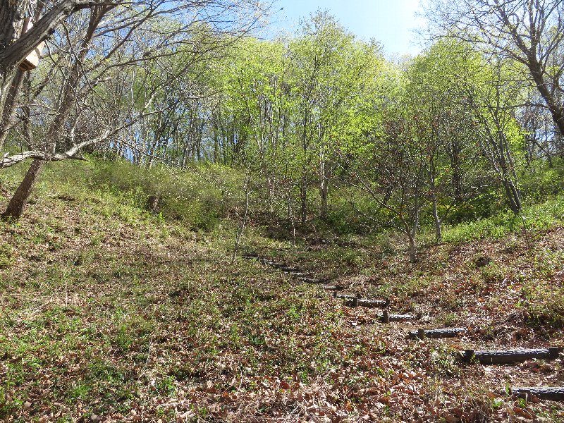 f:id:itablog:20190409134050j:plain