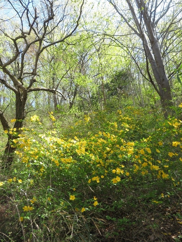 f:id:itablog:20190409134403j:plain