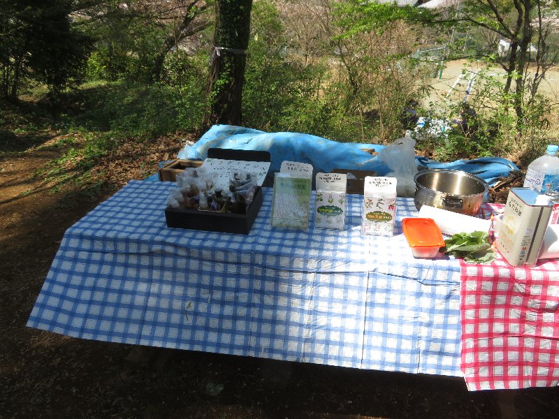 f:id:itablog:20190413122427j:plain