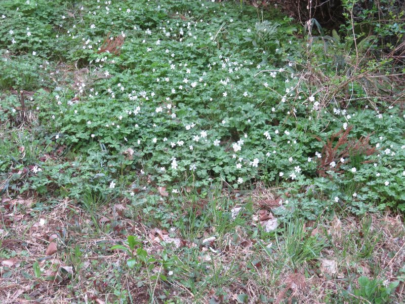 f:id:itablog:20190413153826j:plain