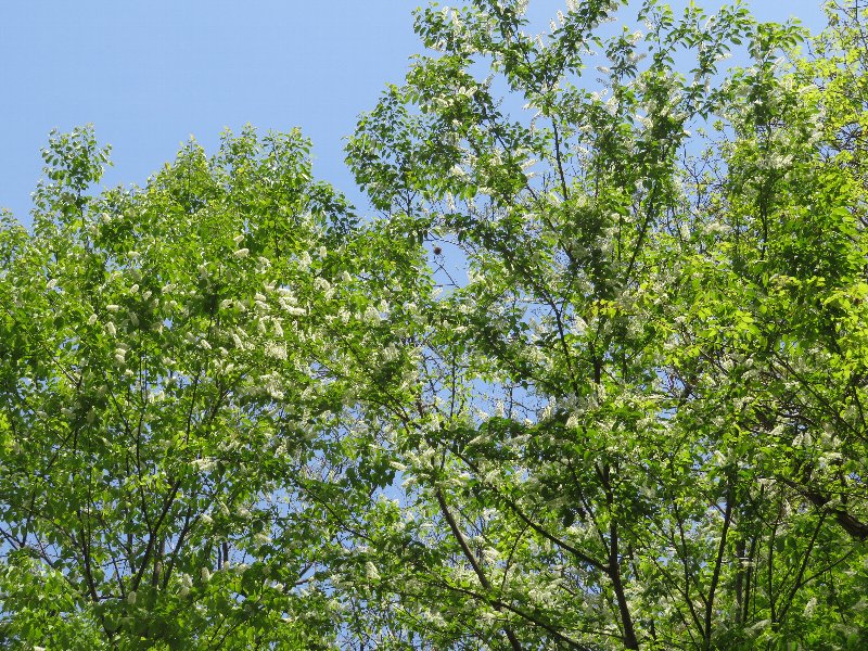 f:id:itablog:20190423123121j:plain