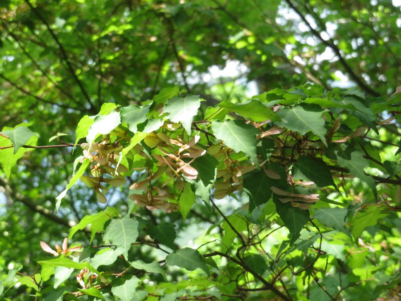 f:id:itablog:20190511114156j:plain f:id:itablog:20190511114156j:plain