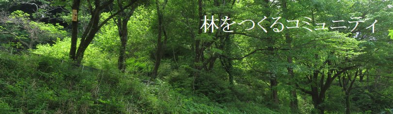 f:id:itablog:20190511124808j:plain