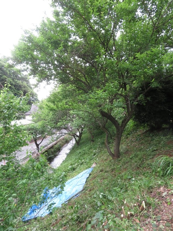 f:id:itablog:20190528131022j:plain