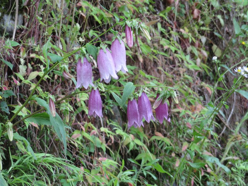 f:id:itablog:20190611100016j:plain