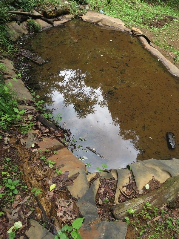 f:id:itablog:20190611101431j:plain