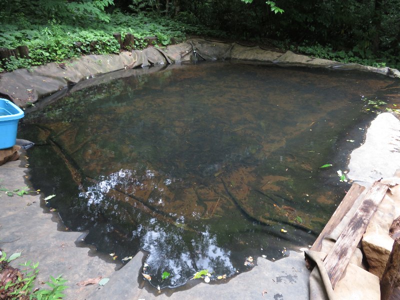 f:id:itablog:20190611101450j:plain