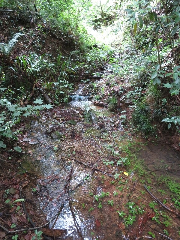 f:id:itablog:20190611102423j:plain