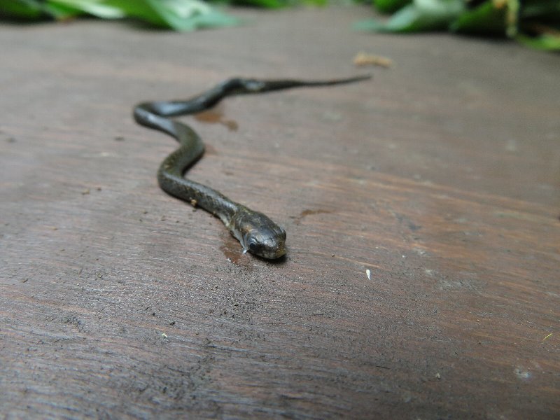 f:id:itablog:20190611104010j:plain