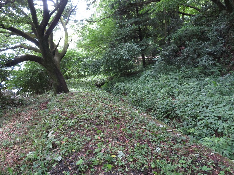 f:id:itablog:20190611110217j:plain