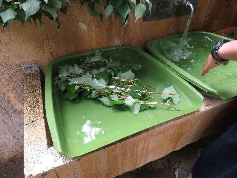 f:id:itablog:20190611120437j:plain