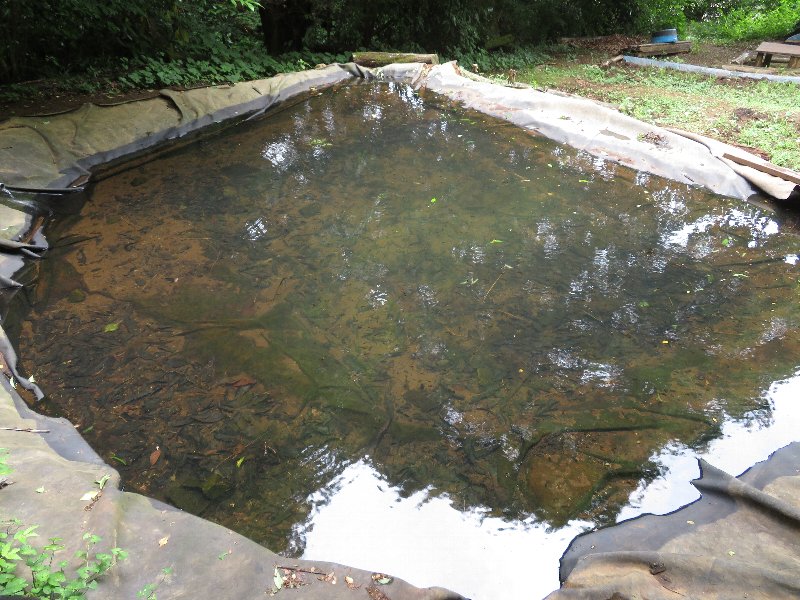 f:id:itablog:20190611130205j:plain