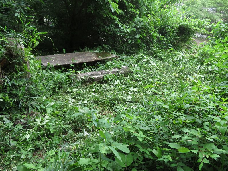 f:id:itablog:20190611130623j:plain