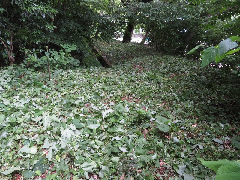 f:id:itablog:20190611130646j:plain