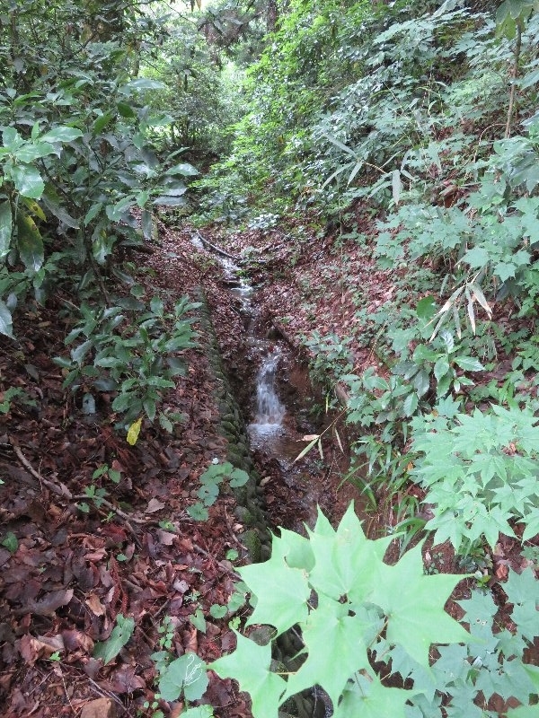 f:id:itablog:20190611130737j:plain