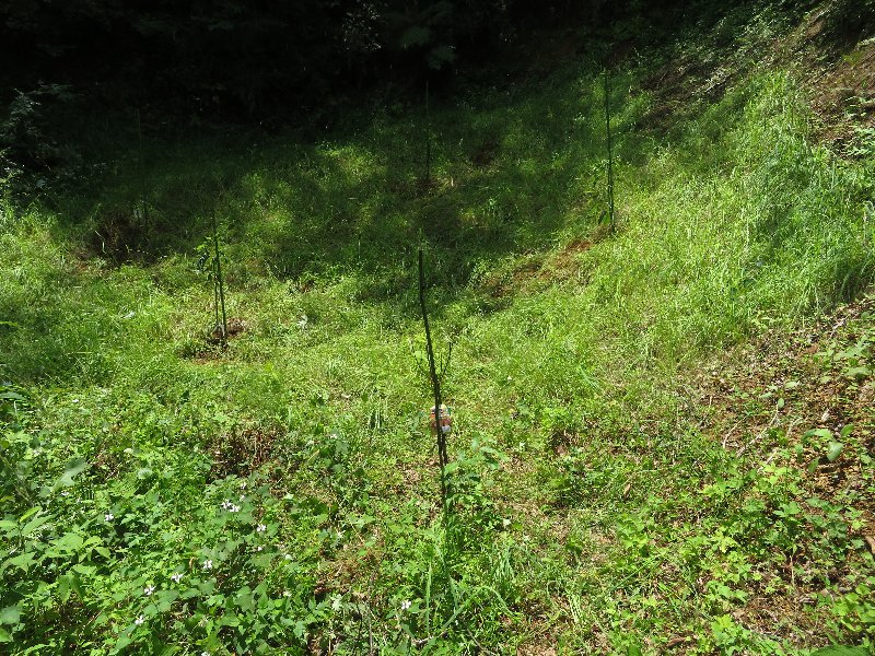 f:id:itablog:20190625111443j:plain