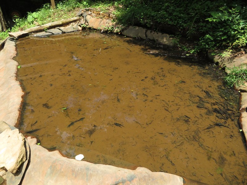 f:id:itablog:20190625120822j:plain