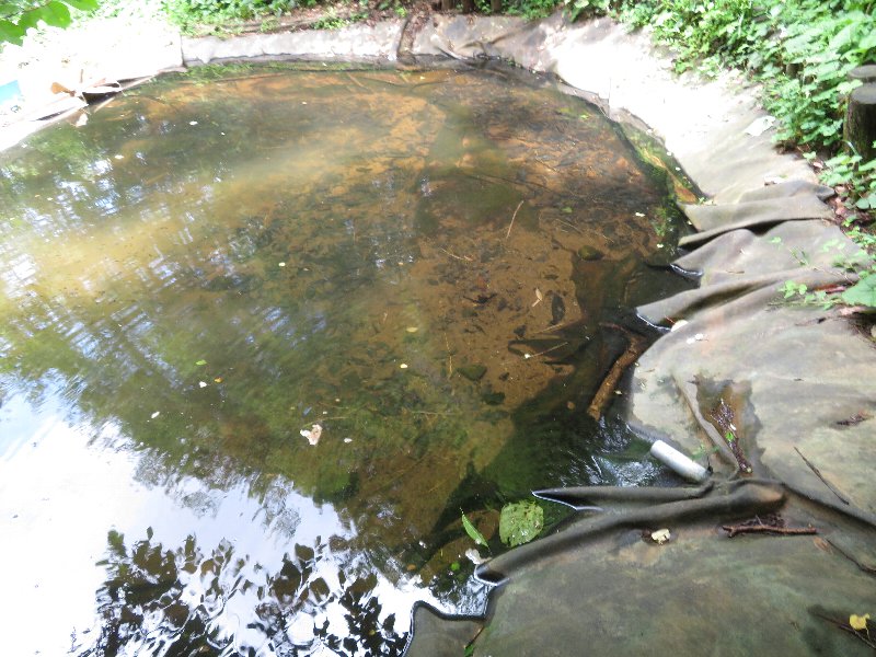 f:id:itablog:20190625120909j:plain