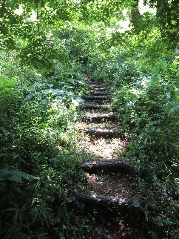 f:id:itablog:20190625122838j:plain