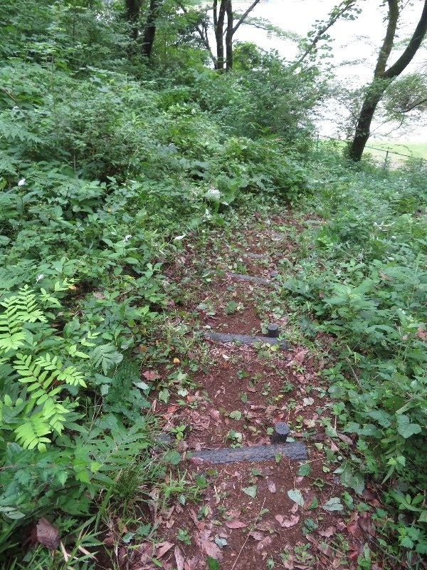 f:id:itablog:20190709113147j:plain