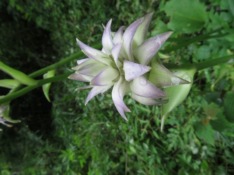 f:id:itablog:20190709201250j:plain