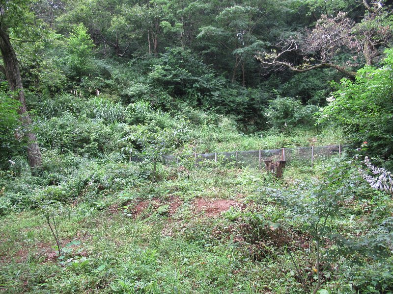 f:id:itablog:20190723095548j:plain f:id:itablog:20190723095548j:plain