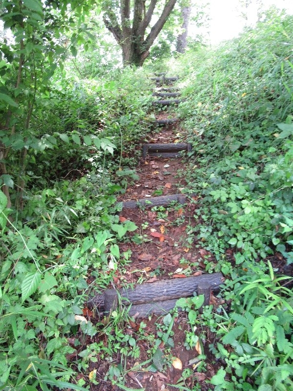 f:id:itablog:20190723110343j:plain f:id:itablog:20190723110343j:plain