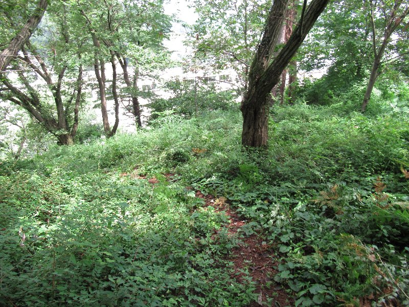 f:id:itablog:20190723110536j:plain f:id:itablog:20190723110536j:plain