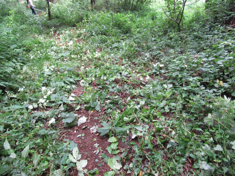 f:id:itablog:20190723110636j:plain f:id:itablog:20190723110636j:plain