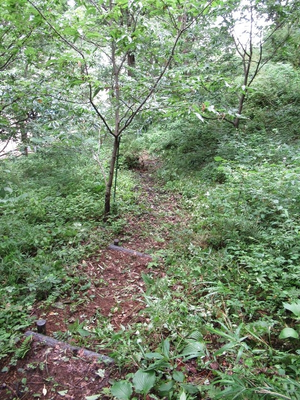 f:id:itablog:20190723112702j:plain f:id:itablog:20190723112702j:plain