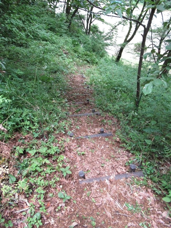 f:id:itablog:20190723112722j:plain f:id:itablog:20190723112722j:plain