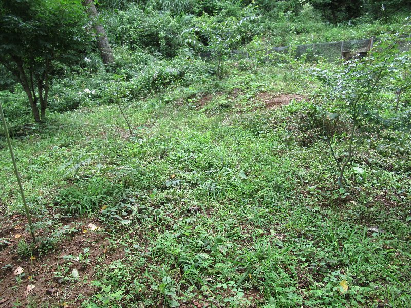 f:id:itablog:20190723112913j:plain f:id:itablog:20190723112913j:plain