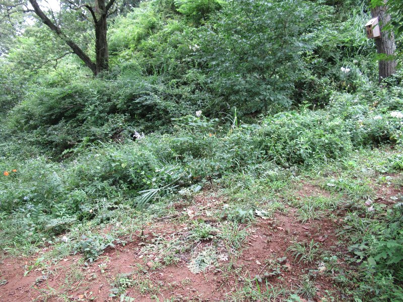 f:id:itablog:20190723112920j:plain f:id:itablog:20190723112920j:plain