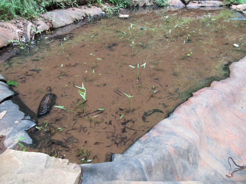 f:id:itablog:20190723143619j:plain f:id:itablog:20190723143619j:plain