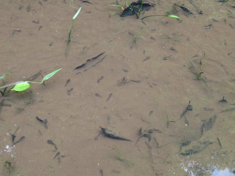 f:id:itablog:20190723143641j:plain f:id:itablog:20190723143641j:plain