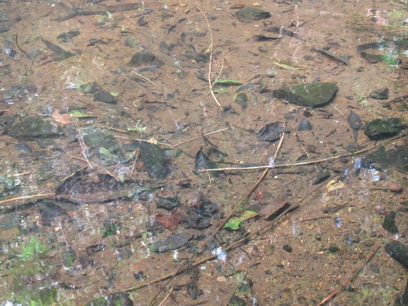 f:id:itablog:20190723143838j:plain f:id:itablog:20190723143838j:plain