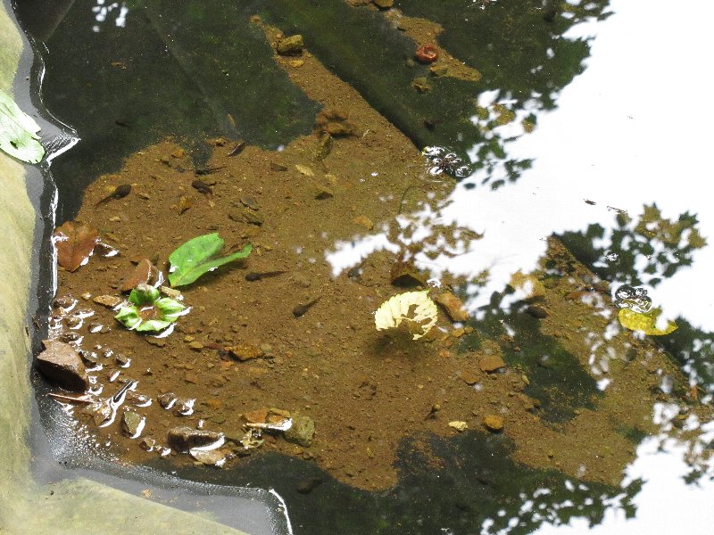 f:id:itablog:20190723143901j:plain f:id:itablog:20190723143901j:plain