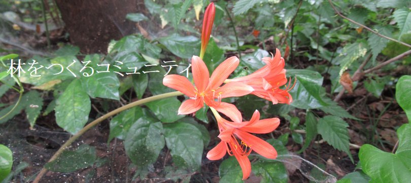 f:id:itablog:20190810111423j:plain