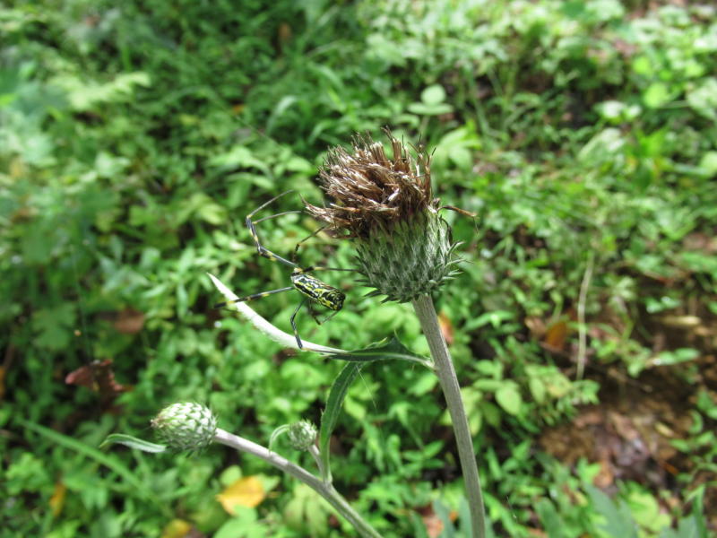 f:id:itablog:20190831095654j:plain
