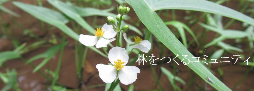 f:id:itablog:20190831104546j:plain