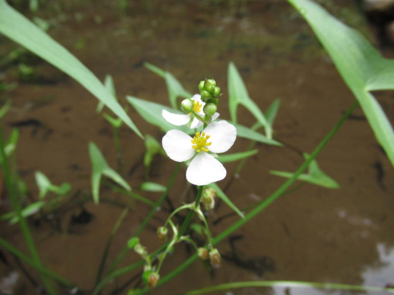 f:id:itablog:20190831104752j:plain